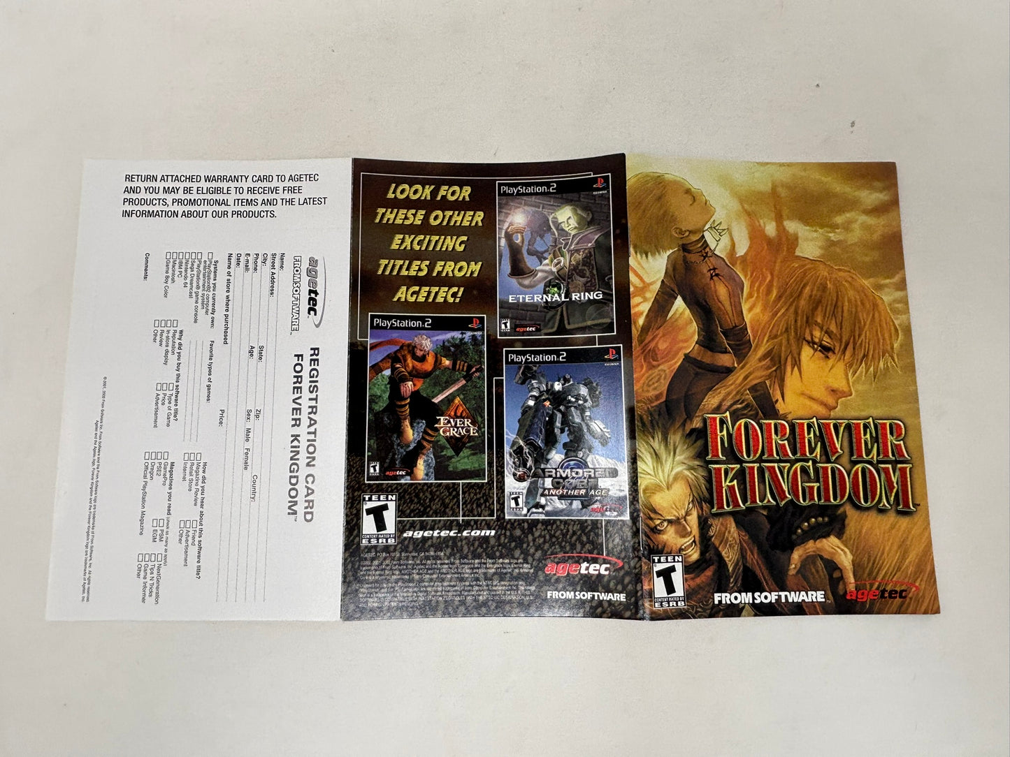 Sony PlayStation 2 - Forever Kingdom - Complete