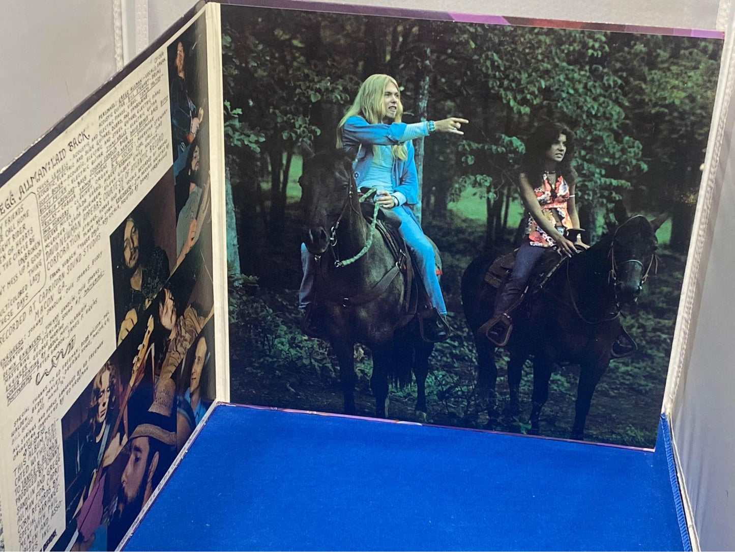 Greg Allman - Laid Back LP Vinyl Album - Capricorn Records - 1973 Original