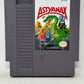 NES Nintendo - Astyanax - Complete