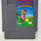 NES Nintendo - NES Open Tournament Golf - Complete