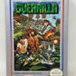 NES Nintendo - Guerilla War - Complete