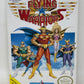 NES Nintendo - Flying Warriors - Complete