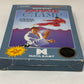 NES Nintendo - Karate Champ - Complete
