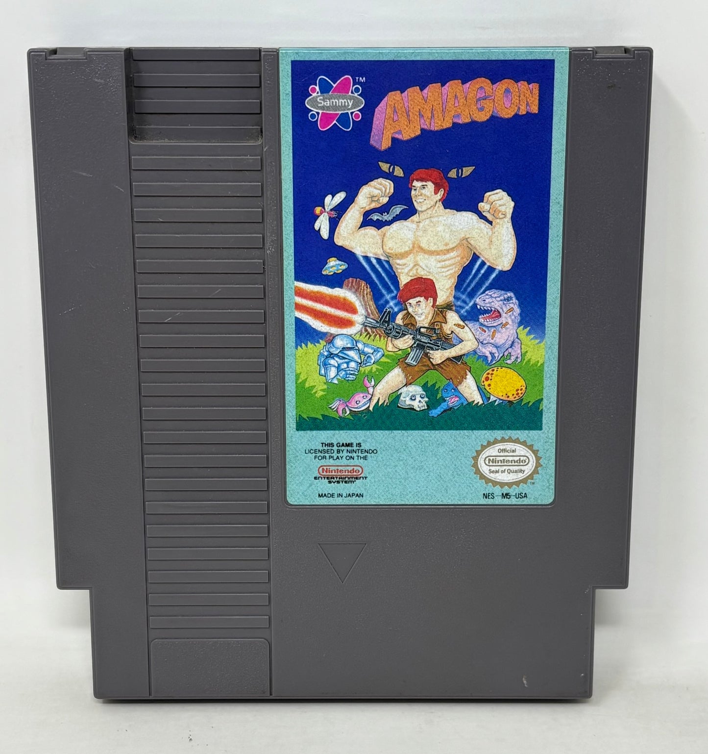 NES Nintendo - Amagon w/ Manual