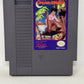 NES Nintendo - Little Nemo The Dream Master - Complete