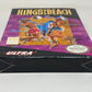 NES Nintendo - Kings of the Beach - Complete