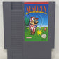 NES Nintendo - NES Open Tournament Golf - Complete