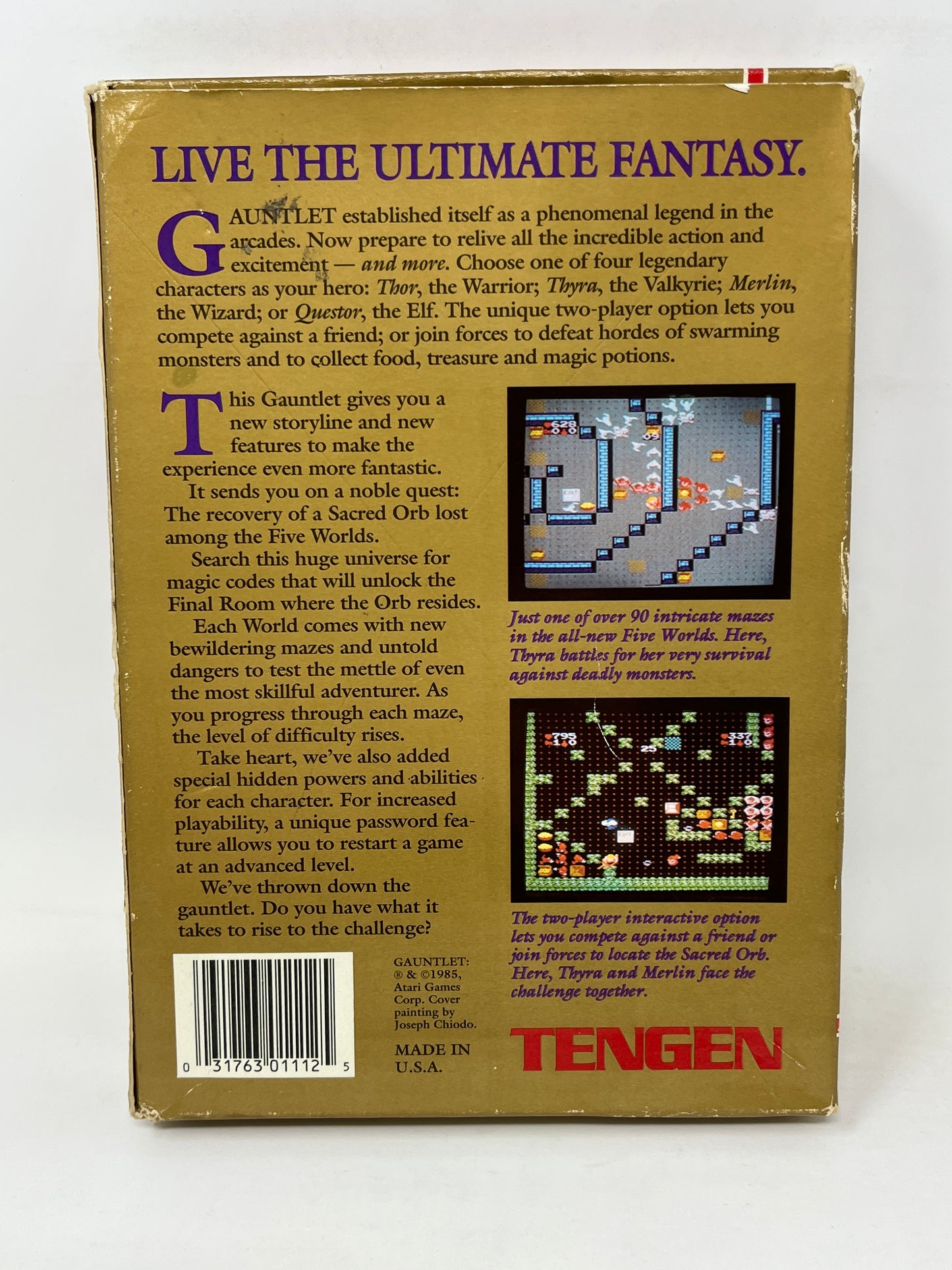 NES Nintendo - Gauntlet (Tengen) Complete in Box