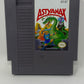 NES Nintendo - Astyanax