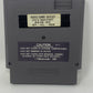 NES Nintendo - Astyanax